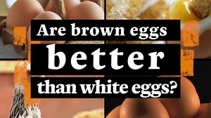 Are Brown Eggs Better Than White Eggs?