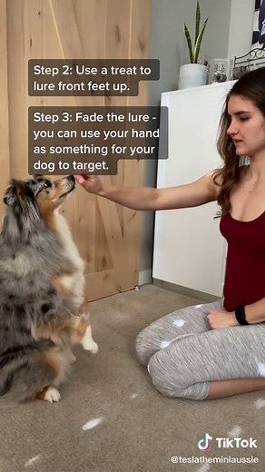 teslatheminiaussie on TikTok