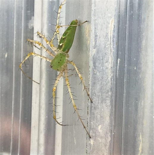 Reloading Center | What happened to Reloader 15 | Facebook