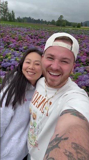 Hydrangea Fields - Here We Come!