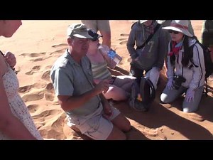 San Bushman Guide to Sossusvlei - Namibia