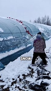 Why are the chinese burning fire inside pipelines | Willow Gale