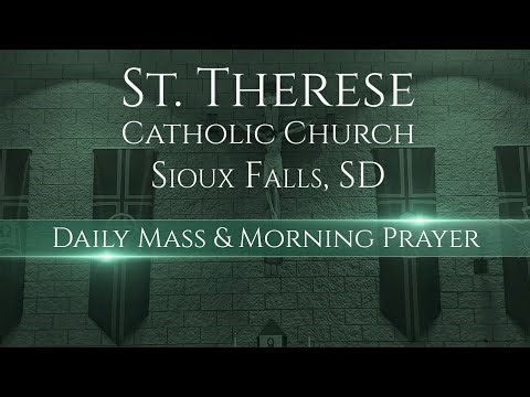 Daily Mass - 2/11/2026