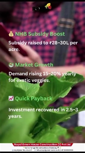 Why 2025 is the BEST Year to Start Hydroponics in India | NHB Subsidy, Market Growth & Profits 🚀🌱