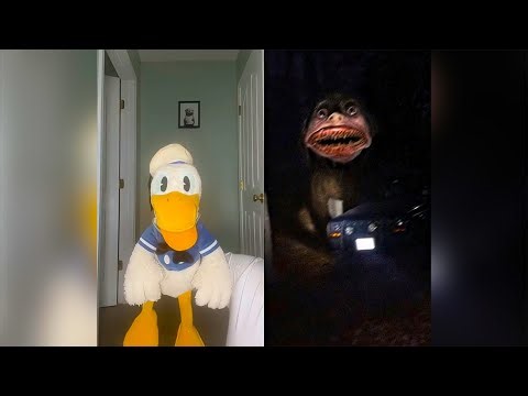 Donald Ducc SCARIEST TikToks 196 (DO NOT BE SCARED CHALLENGE)