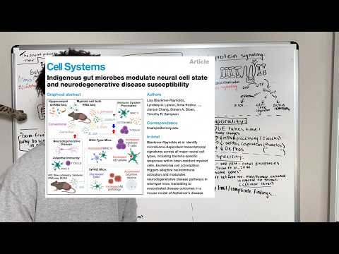 How do gut microbes influence neurodegenerative disease? | Mono-colonization explored