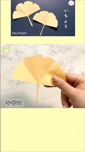 【切り紙】簡単いちょう🍁How to make ginkgo#いちょう#ginkgo#イチョウの葉#이쵸#단풍#銀杏#枫叶#秋#もみじ#折り方#おりがみ#origami#摺紙#종이접기#shorts