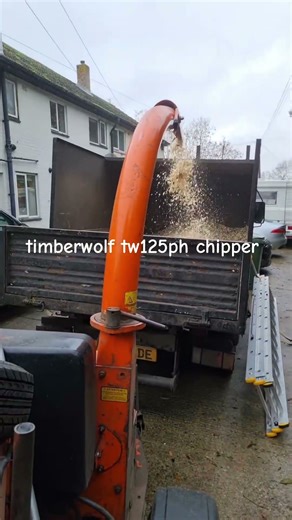 Timberwolf 125 chipper in action workhorse 💪#treework #treesurgeon #chipper #timberwolf #fyp #shorts