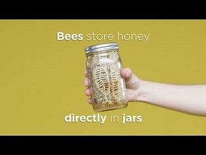 NEW SummerHawk Ranch Mason Jar Beehive