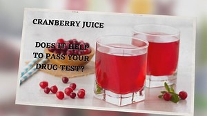 Cranberry Juice: Does it help to Pass your Drug Test?