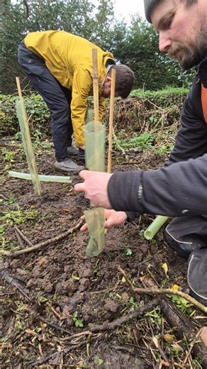 1.4K views · 43 reactions | Closed this Friday afternoon for our annual planting scheme, for every eBike/eCargo purchased in 2025 we will plant a tree! | Adventure Cycles | Facebook