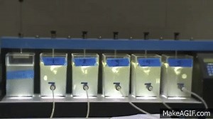 Conventional Jar Test on Make a GIF