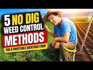 The 5 Weed Control Methods That Make My Backyard Farm Profitable