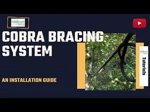 Cobra Tree Bracing Tutorial