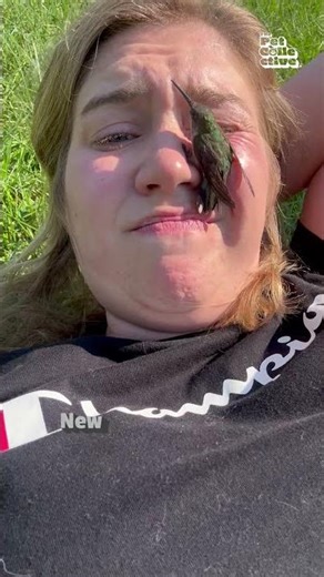 Rescued Hummingbird Perches on Woman's Face