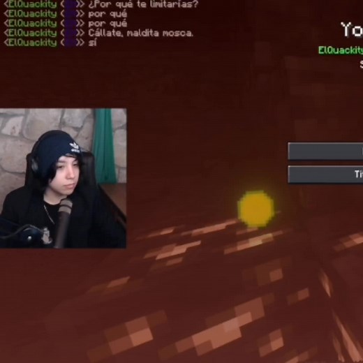 Quackity Slain by Fly - Funny Moment from QSMP