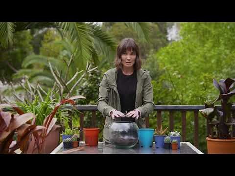 The Garden Gurus - How to Build an Open Terrarium