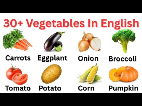 Vegetables Names in English| Best Educational Video For Kids / Toddlers With Examples