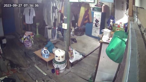 Two monitor lizards scurry through home while boy prays