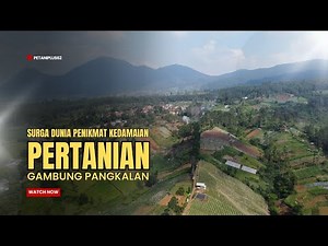 Pop Sunda Full Album Terpopuler - Nanih GASENTRA (Koleksi Lagu Terbaik)