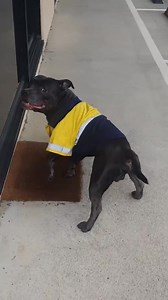 141K views · 3.7K reactions | Homeless POV of our Workshop! | Cutting Edge Engineering Australia | Facebook