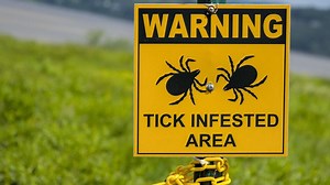 Beyond Lyme disease: Understanding tick-related diseases aids prevention