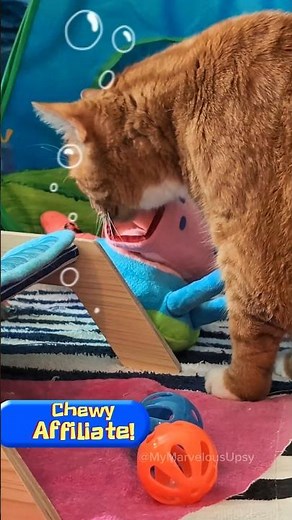 🍍🩵🐾 Chewy has SpongeBob Pet Toys!