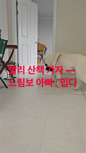 늦장 부리는 아빠 미워 미워 미워 ㅈㅈㅈ
