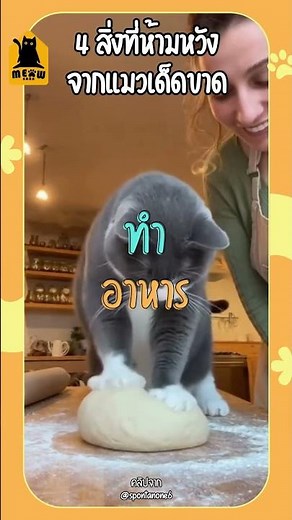 4 Things You Absolutely "Never Expect" from a Cat #cat #catlover #catkeeping #meowbarn #meowbarn