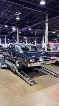 Which would you rather have?