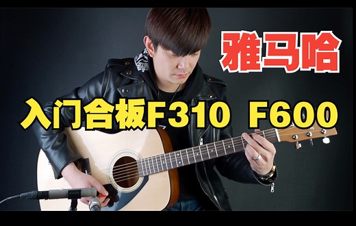 新手入坑首选 雅马哈F310 F600对比评测