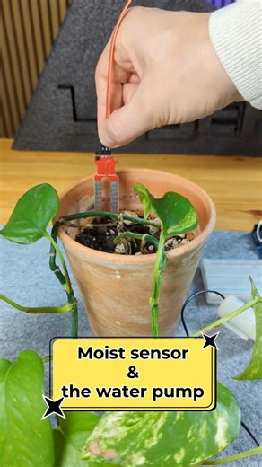 Humidity sensor and the water pump station #microelectronics #humiditysensor #diyprojects