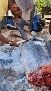 42K views · 270 reactions | Using hacksaw to cut a fish... | Fillet Magic | Facebook