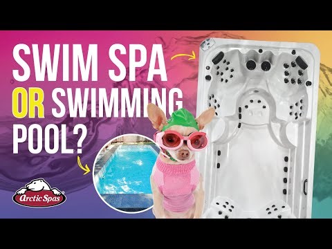 Swim Spa versus a Swimming Pool, Check out the Reasons to Choose One or the Other