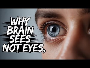 Why Your Eyes Don’t See—Your Brain Does?