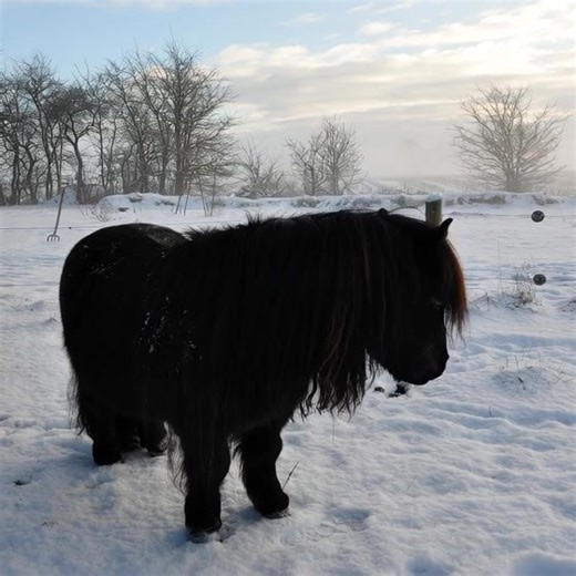 Snow too in the "Motherland" Thanks - Troels Dalberg #snow #europe #North | Shetland