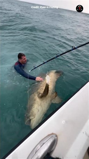 Watch this video before fishing