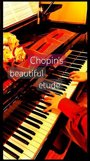 究極に美しいショパンの名曲✨ chopin etude op.25-1 エオリアンハープ