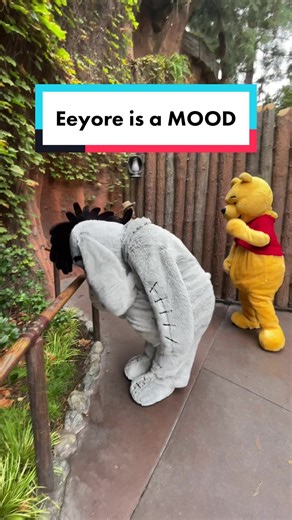 Eeyore: A Unique Mood at Disneyland