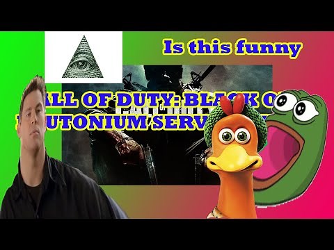 How to set up a Plutonium T5 server (Black Ops 1)