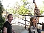 Sam Frost snorts with laughter as Rove jokes with giraffe at zoo