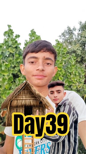 30/30day✅mini Vlogs challenge 30day compete""Tree house challenge complete 😱 #minivlog#shorts#viral