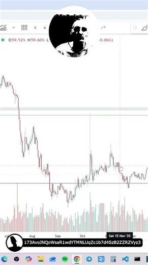 Fortuna and Cryptocurrencies #memecoins #crypto #bitcoin #altcoins