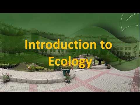 Ecology - Basic Understanding