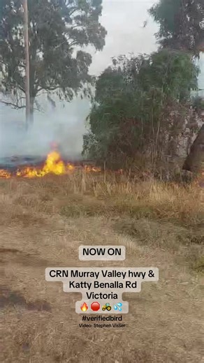Grass Fire Emergency on Murray Valley Highway, Victoria