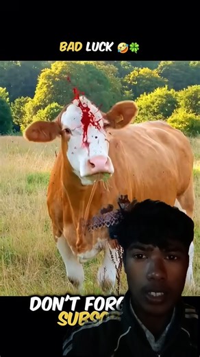 Introducing the "VitaWear SmartBand," a next-generation wearable gadget🤯