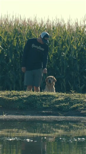 November duck dogs are built NOW. 😤 Water work is in full swing @riverstonekennels #LuckyDuck #DogTraining #RiverStone #RetrieverTraining | Lucky Duck Premium Decoys