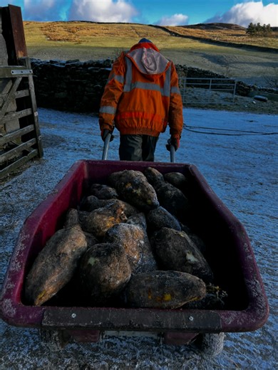Connecting with Nature: A Day at the Farm