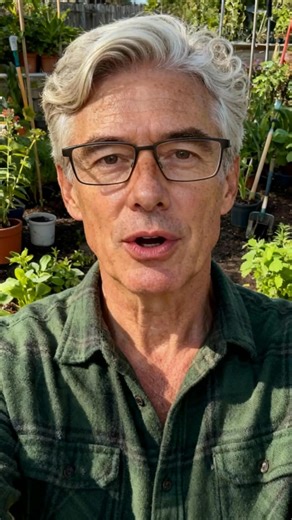 🎥 Ils ont testé. Ils témoignent. Hervé partage son retour après réception et utilisation du ROUNDUP Ultraplus Désherbant Glyphosate 360. Application simple, efficacité rapide, résultat visible en quelques jours. Déjà plus de 3 000 utilisateurs satisfaits en France, Belgique et Suisse 🇫🇷🇧🇪🇨🇭 Particuliers comme professionnels font le même constat : quand il faut être efficace, c’est celui-ci. 🌿 Désherbant puissant à usage professionnel 🚚 Expédition rapide avec suivi 💳 Paiement à la livra