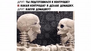 #мемы😂 max maximov